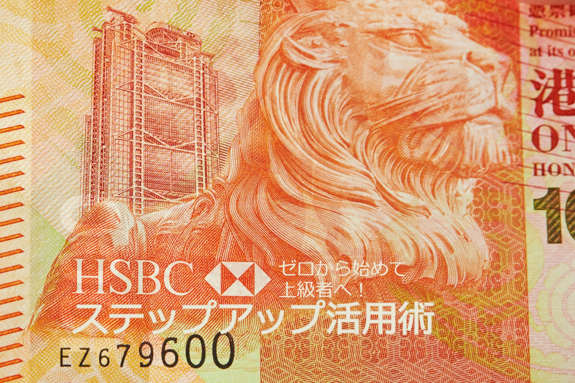 Hsbc香港のステップアップ活用術 ゼロから始めて上級者へ お金の窓口